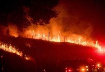 Incendio en California amenaza 1.500 inmuebles