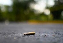 panama, niña, armas, violencia,