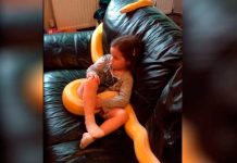 Video viral: Padre deja a su niña «bajo cuido» de una Pitón