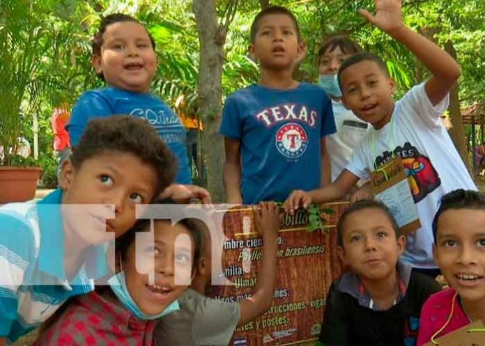 nicaragua, ninez, naturaleza, inafor,