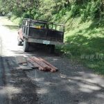 Incautan en Río Blanco madera ilegal valorizada en 15,000 córdobas