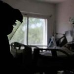 Estados unidos , Hawái, relación, covid-19,