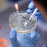 Detectan en Brasil una nueva variante del coronavirus brasil, coronavirus, deteccion, variante, cientificos,