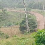 Camino inaugurado en San Luis de Providencia