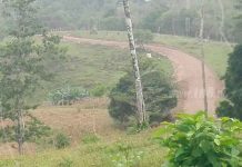 Camino inaugurado en San Luis de Providencia