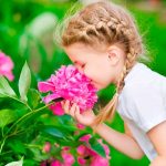 Seis cosas que no conocemos del olfato