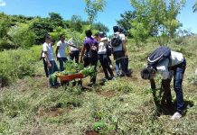 Ometepe: Jornada de reforestación con jóvenes ambientalistas de Moyogalpa