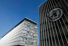 OMS vigilará con nueva base de datos avance de la demencia en el mundo