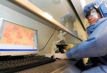 OMS advierte que nueva epidemia de Ébola es «inevitable»
