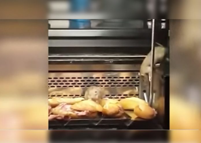 panaderia