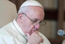 Papa ordena investigación en diócesis alemana por casos de abusos sexuales alemania, papa francisco, abusos sexuales, religion,