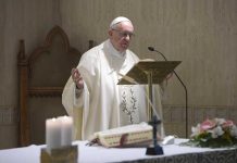 El papa insta a dedicar mañana un minuto para rezar por la paz