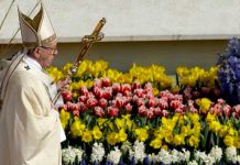 Papa en Pascua: Aférrense a la fe ante las guerras y el odio