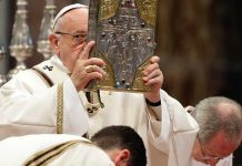 Papa Francisco: «El mundo debe detener a los señores de la guerra»