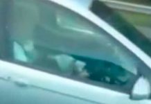 Pareja es captada teniendo sexo en plena carretera