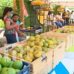 parque de ferias, managua, minsa, salud,