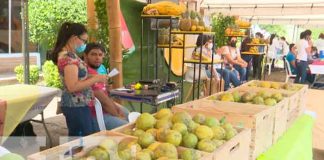 parque de ferias, managua, minsa, salud,