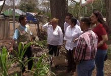 Nicaragua comparte conocimientos con El Salvador sobre Patio Saludable