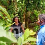 nicaragua, boaco, mefcca, patio saludable,