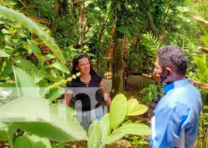 patio-boaco- nicaragua, boaco, mefcca, patio saludable,