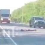 peaton, accidente, atropello, leon,