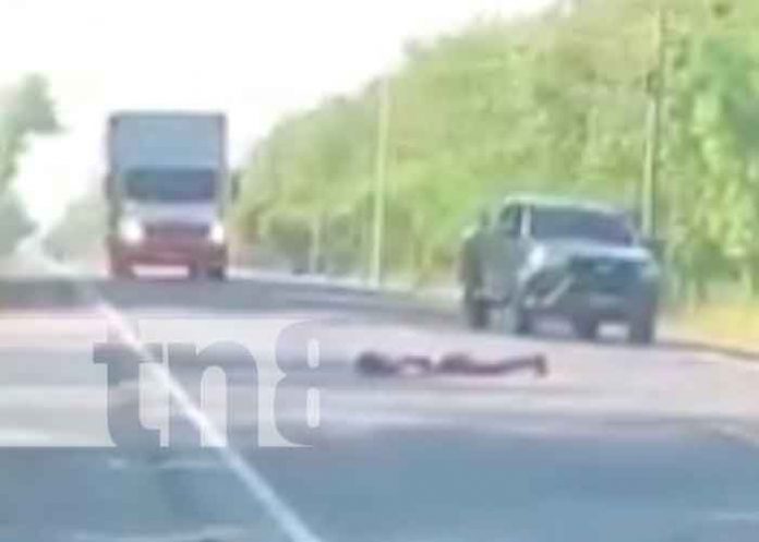 peaton peaton, accidente, atropello, leon,