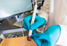 Crean herramienta que podría usarse para identificar el cáncer