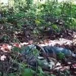 (Video) Degenerado abusa de perra en «El Cañal», Rivas