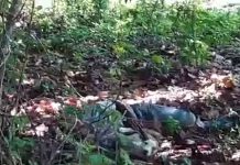(Video) Degenerado abusa de perra en «El Cañal», Rivas