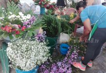 Cementerio Periférico de Managua recibe visitas este 2 de noviembre