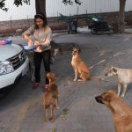 ¿Se está perdiendo la tradición de comer perros en Corea del Sur?