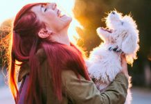 La ciencia confirmó que humanos y perros comparten genes