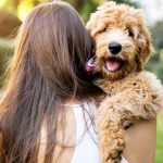 Si hablas con tu perro no estás loco… es bueno