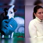 Operaron a su perro para que se parezca al de La Máscara