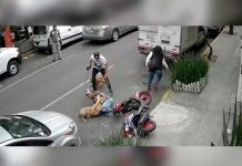 Video: Se enfrentó contra un pitbull para salvar a su mascota