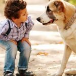 Confirmado: Los perros comprenden lo que les decimos