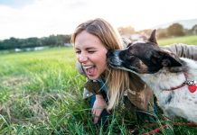 Once beneficios que tu mascota aporta a tu salud