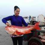 Conozca más sobre la pesca artesanal en Nicaragua