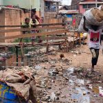 Detectan brote de peste bubónica en EEUU