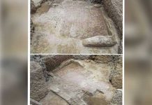 Descubren un mosaico romano «único» en la ciudad egipcia de Alejandría