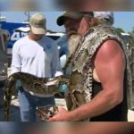 EE. UU: Cazador atrapa una enorme pitón valorada en USD 375