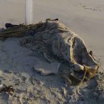 Libia, cadáveres de niños, crisis migratoria, barco,