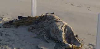 Libia, cadáveres de niños, crisis migratoria, barco,