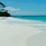 Misteriosa y «horrible» criatura aparece en una playa de Australia