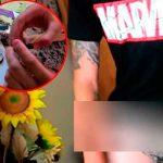 Video: Apodan como «Loganconda» a youtuber por broma de viagra