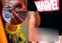 Video: Apodan como «Loganconda» a youtuber por broma de viagra