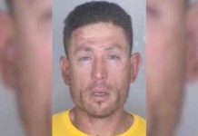 estados unidos, asesinatos, detenido, policia,