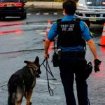 «Juntos contra Irma»: Conmovedora foto de un oficial con un perro policía