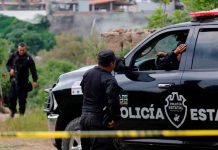 Encuentran mexico, autoridades, encuentro, bolsas, restos humanos, 70 bolsas con restos humanos en el oeste de México