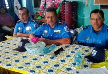 Nueva Guinea: Mercado con seguridad para evitar vandalismo